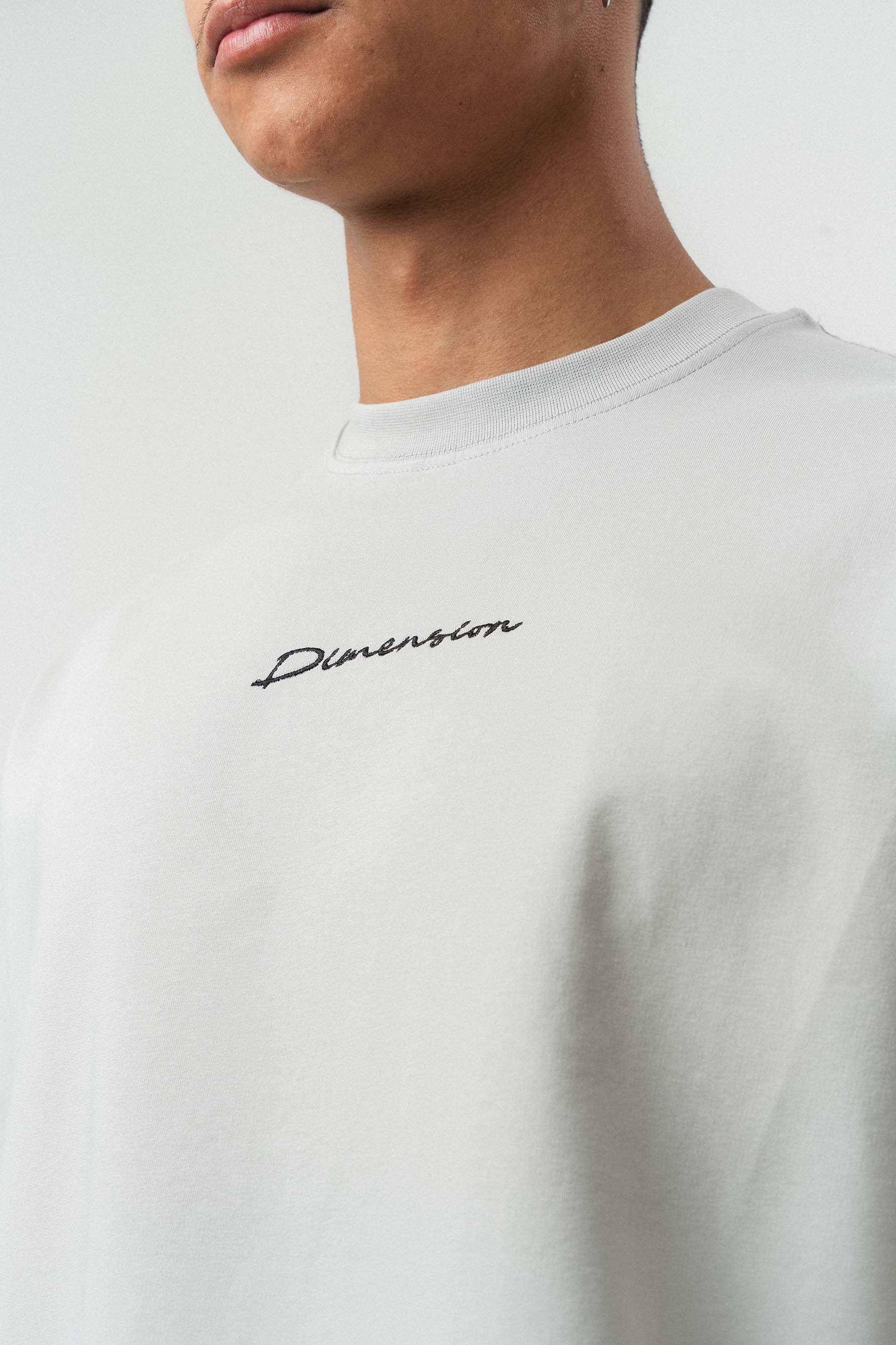 Etnik Desen Nakış Detaylı Gri Oversize Baskılı T-Shirt