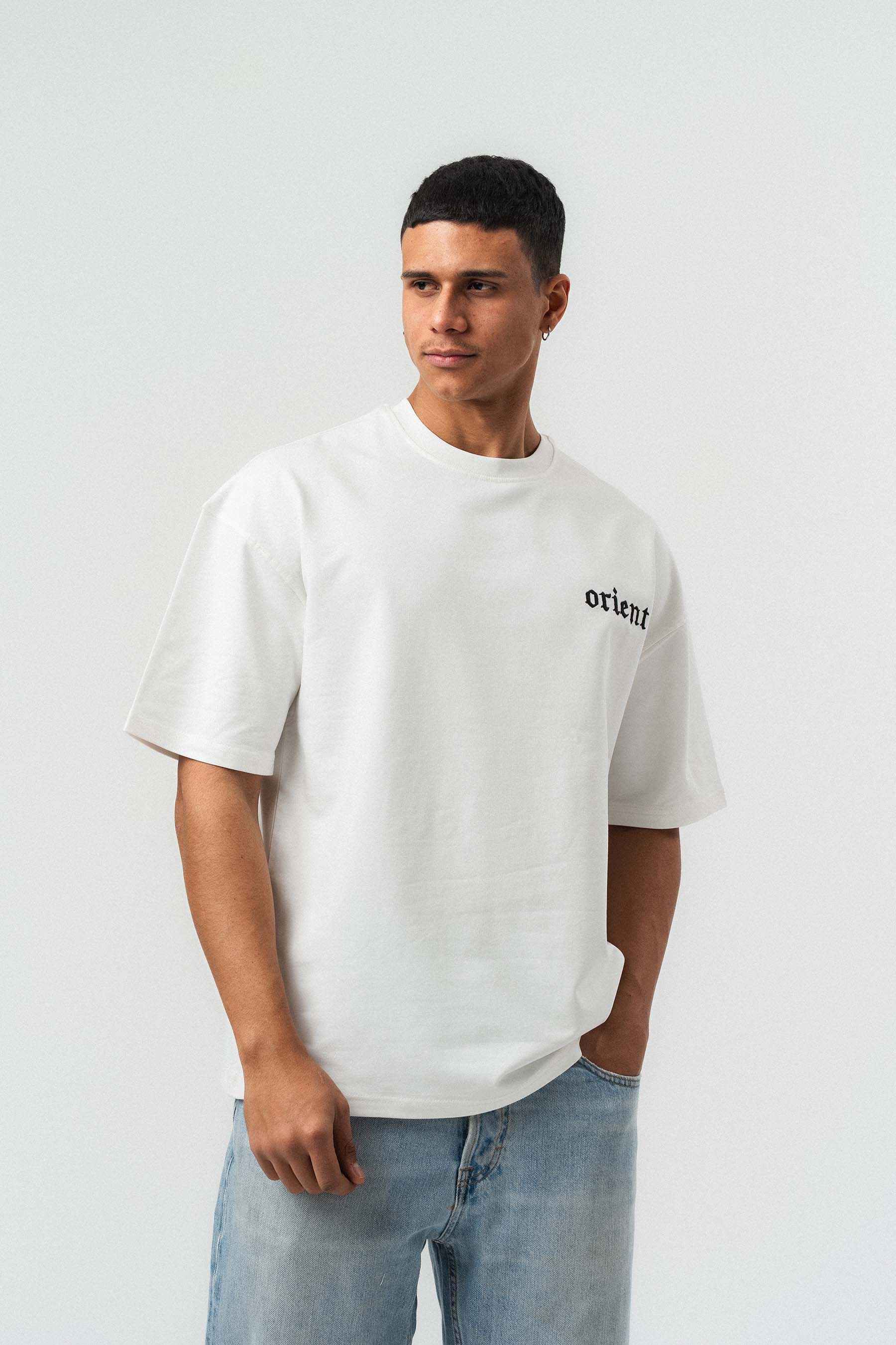 Orient Etnik Desen Nakış Detaylı Gri Oversize Baskılı T-Shirt