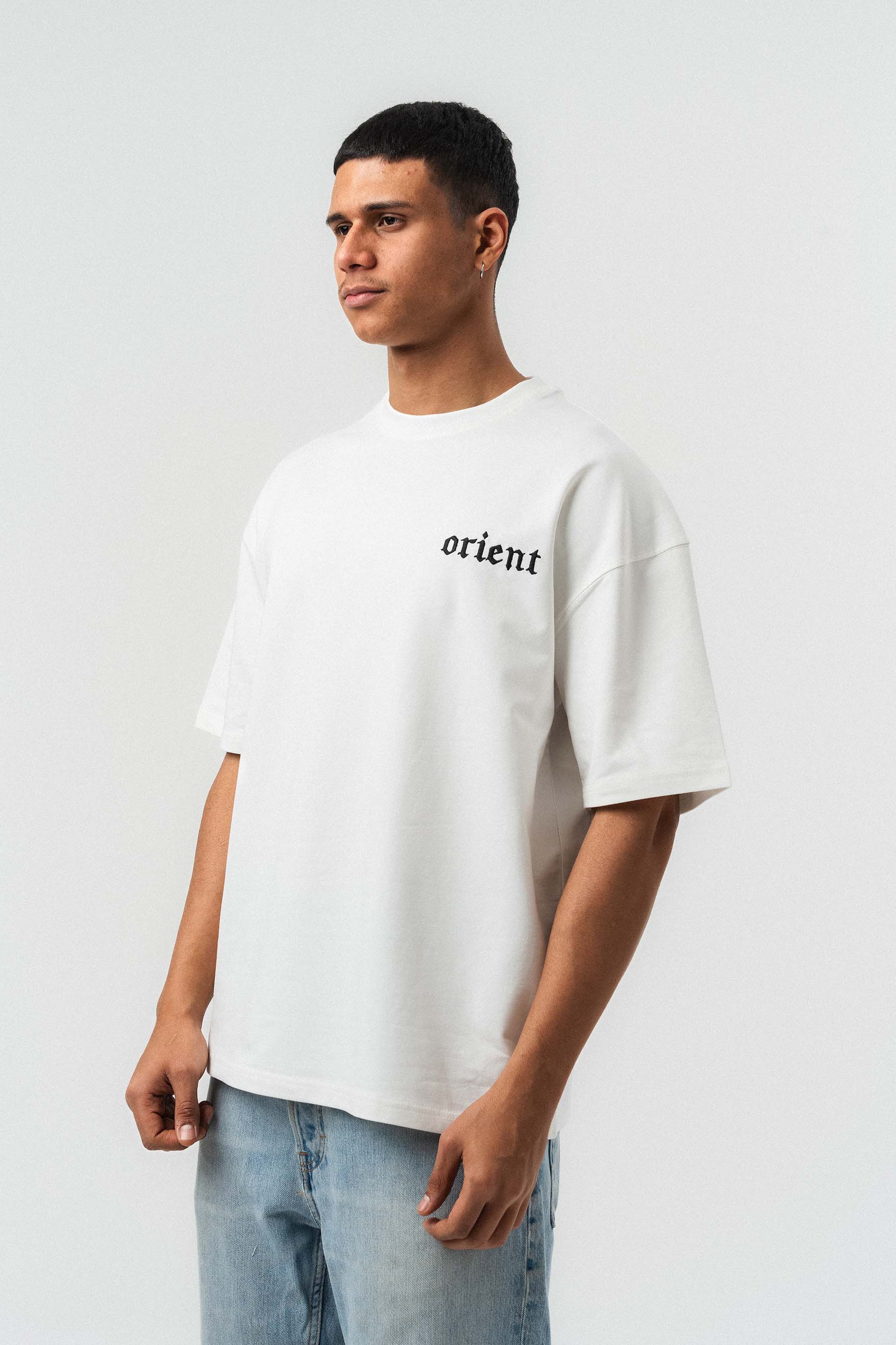 Orient Etnik Desen Nakış Detaylı Gri Oversize Baskılı T-Shirt